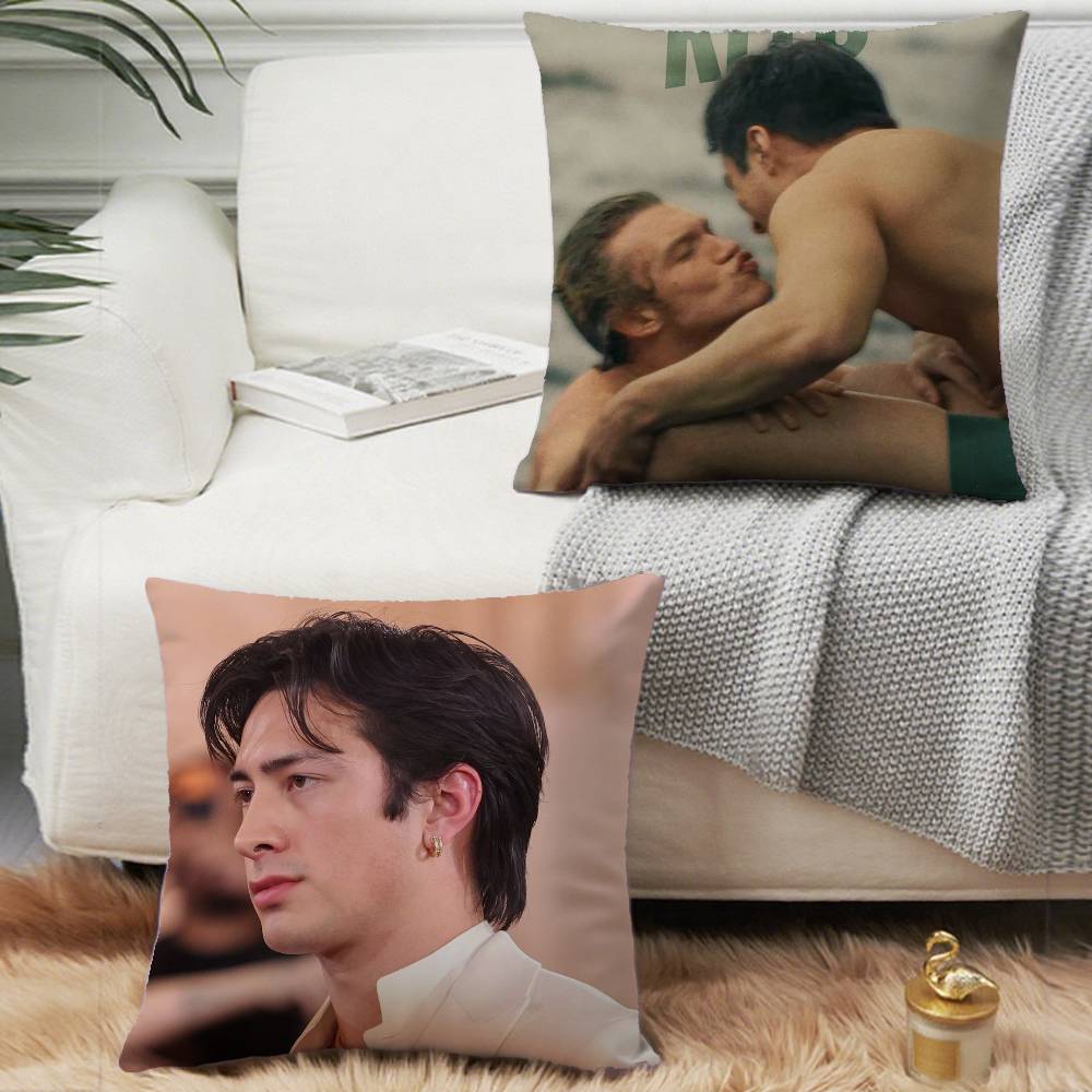 ปลอกหมอนอิงลายทีวียอดนิยม 1 ชิ - Pillow Cover Sublimation บทวิจารณ์และราคา