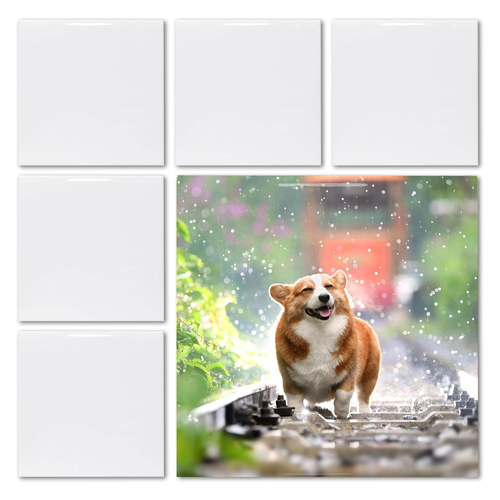 20 ชิ้น กระเบื้องสี่เหลี่ยมสีข - Ceramic Tile Blank บทวิจารณ์และราคา