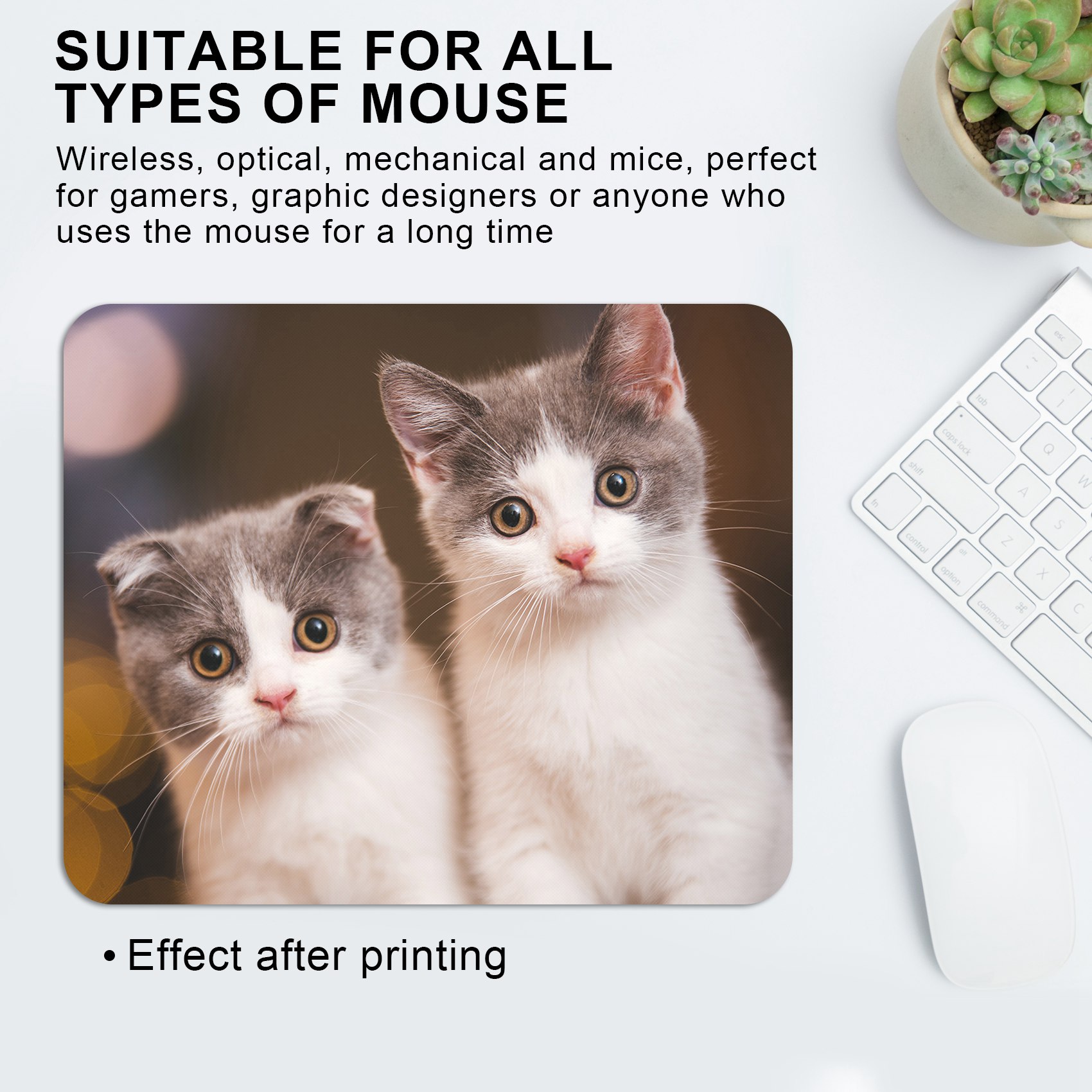 แผ่นรองเมาส์เปล่าแบบคลาสสิก 10 - Mouse Pad Blank Sublimation บทวิจารณ์และราคา